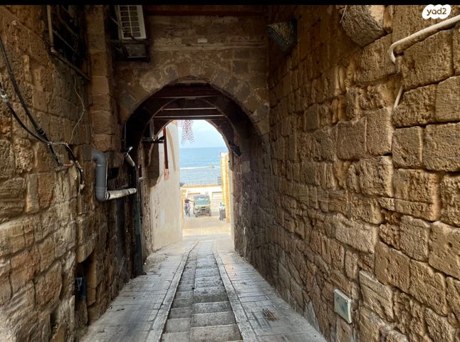 עיר עתיקה 11 