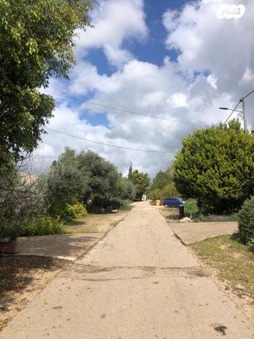 בית פרטי/ קוטג', גבעת ניל"י