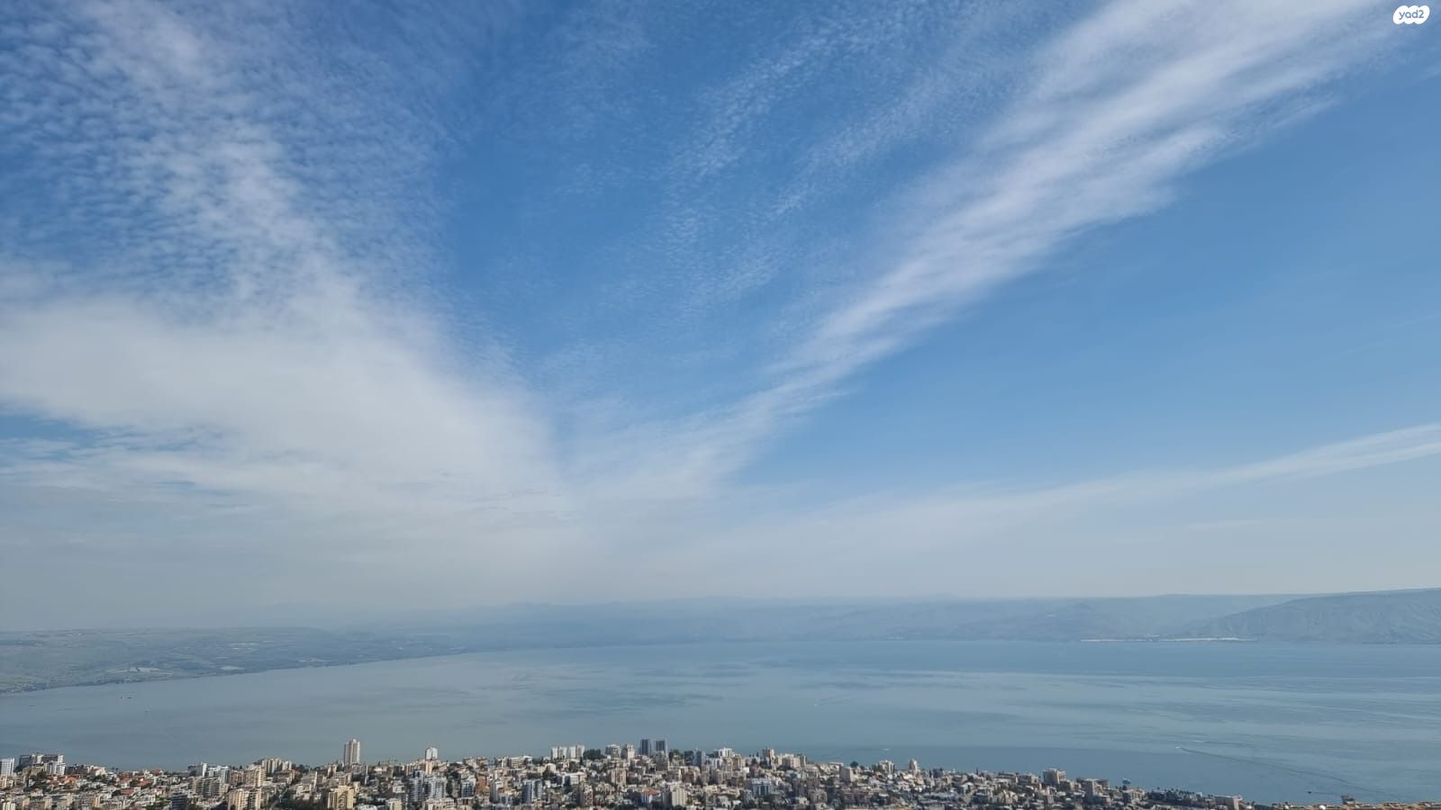 רקפת 