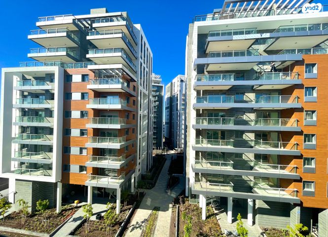 צבי מנדלבלט 5