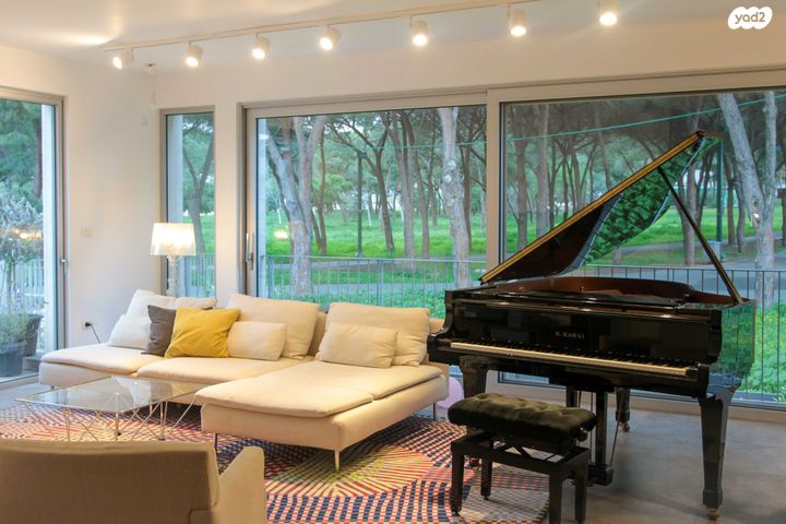 גג/ פנטהאוז