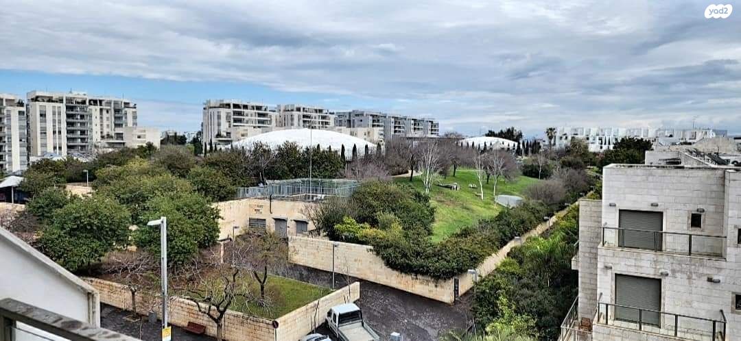 לוין קיפניס 1