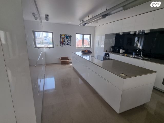 גג/ פנטהאוז, בלפור, לב תל אביב, לב העיר צפון, תל אביב יפו