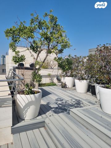 גג/ פנטהאוז, בלפור, לב תל אביב, לב העיר צפון, תל אביב יפו