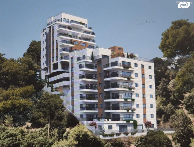 דרך פרויד 22