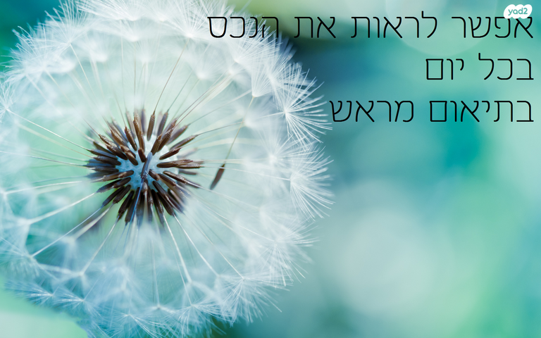 משרדים, הרצל 36, מגדל, אשקלון