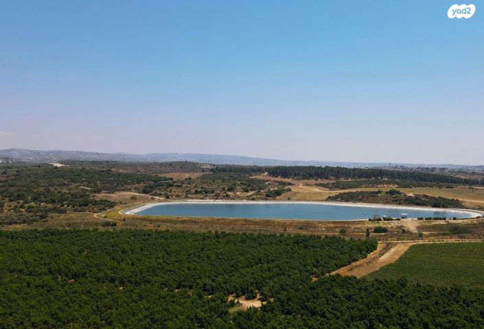 גג/ פנטהאוז, הפרחים, חריש