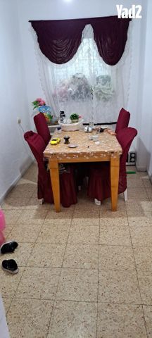 חביבה רייק 