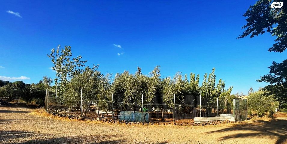 משק חקלאי/ נחלה, כורזים