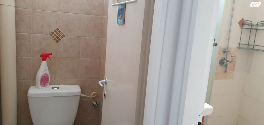 דירה, דוד בן גוריון, הראשונים, שלומי