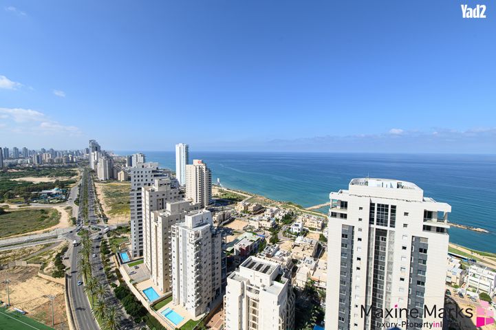 אמנון ליפקין שחק 