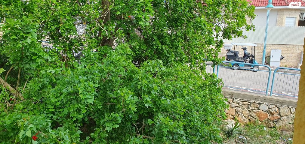 דירה, דוד בן גוריון, הראשונים, שלומי