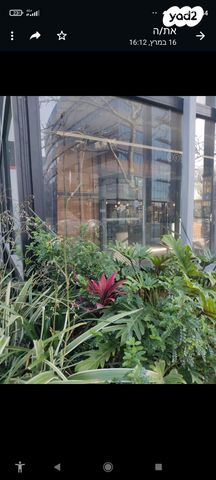 חנויות/ שטח מסחרי, הרצליה