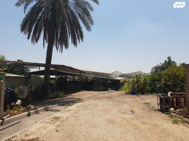 משק חקלאי/ נחלה