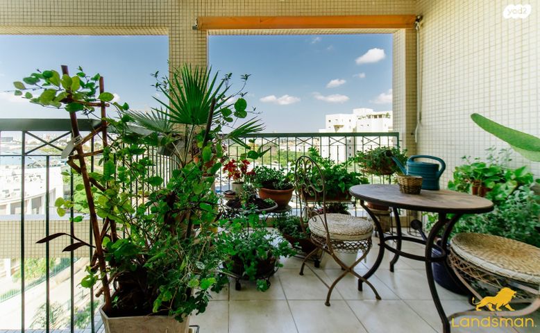 דירה, זכרון יעקב 39, הדר המושבות הותיקה / אם המושבות הותיקה, פתח תקווה