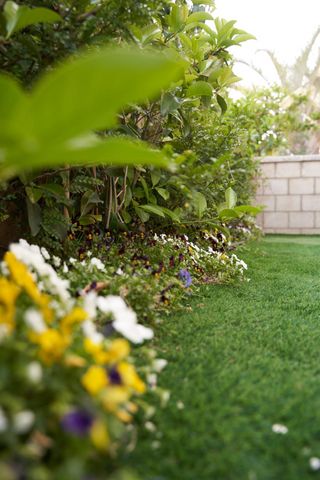 סאבלט, הרצליה