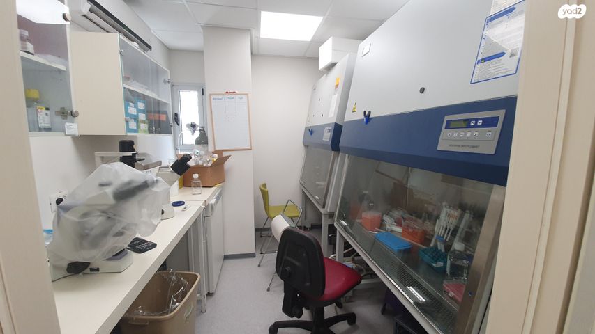 משרדים, חיים פקריס, רחובות