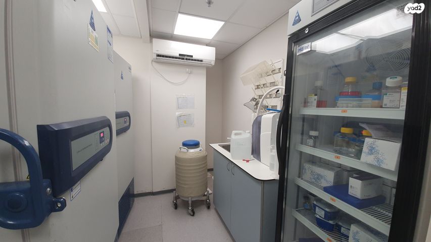 משרדים, חיים פקריס, רחובות