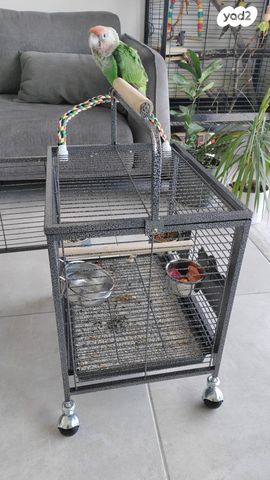 אביזרים | כלוב