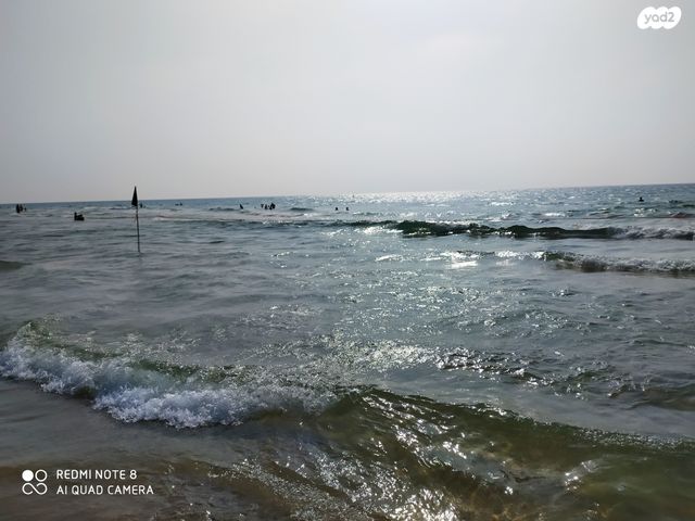 דירה, פנקס, הצפון החדש - כיכר המדינה, תל אביב יפו