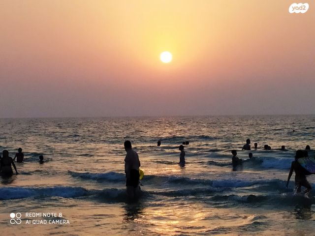 דירה, פנקס, הצפון החדש - כיכר המדינה, תל אביב יפו