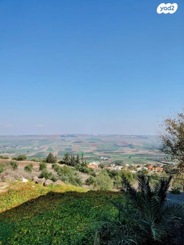 סמדר 