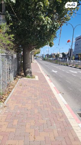 מגרשים, נשר