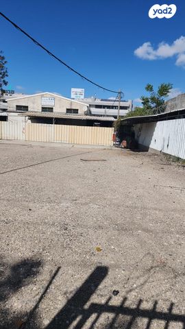 מגרשים, נשר