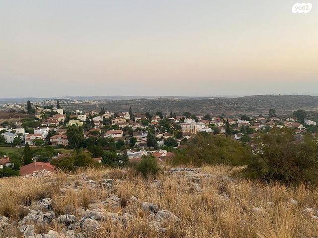 מגרשים