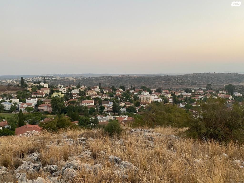 מגרשים