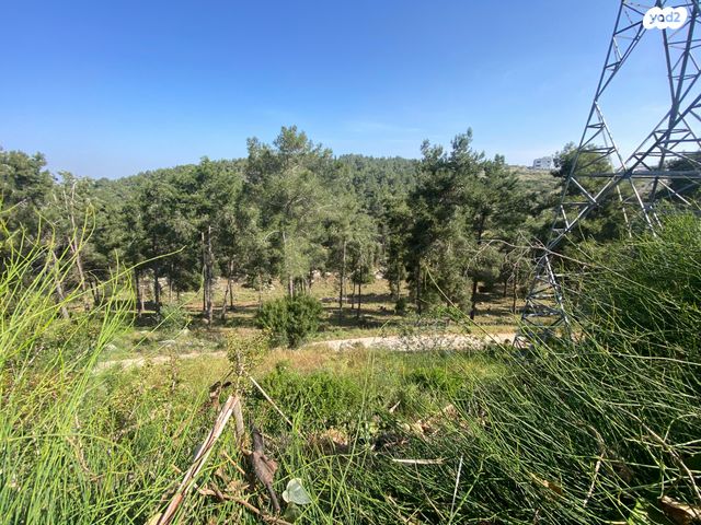 בית פרטי/ קוטג', עדי