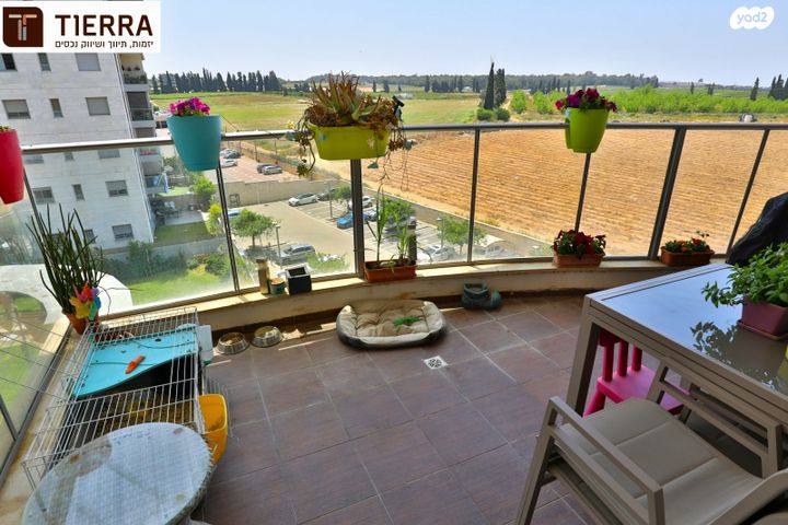 דירה, רמת אמיר, קדימה צורן