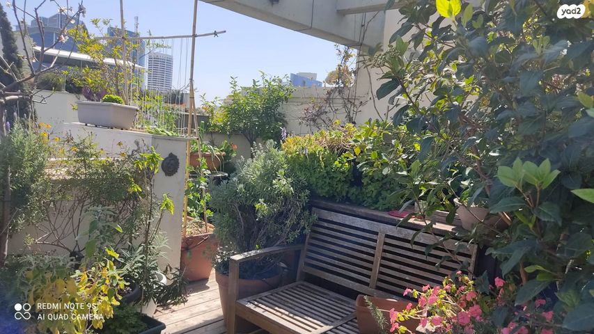 גג/ פנטהאוז, בר אילן, לב תל אביב, לב העיר צפון, תל אביב יפו