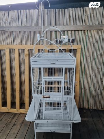 תמונת מודעה - חיות מחמד