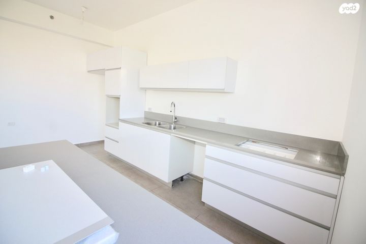 גג/ פנטהאוז, ברנדייס, מרכז דרום, רעננה