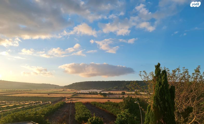 בית פרטי/ קוטג'