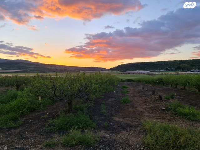בית פרטי/ קוטג', כרם מהר"ל