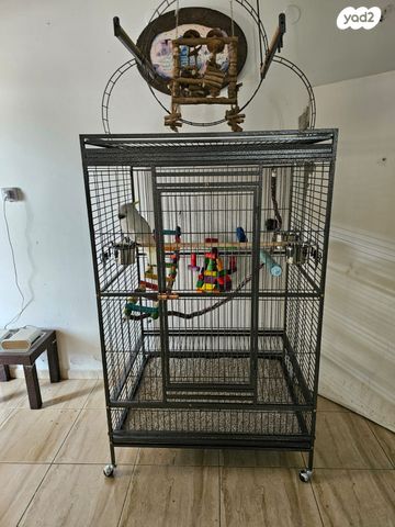 אביזרים | כלוב האכלת יד