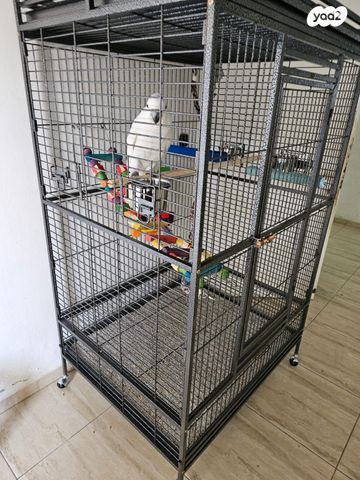 אביזרים | כלוב האכלת יד