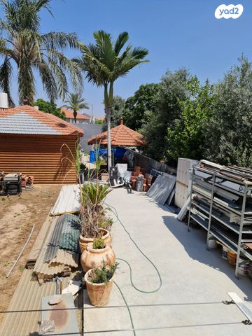 נווה דוד