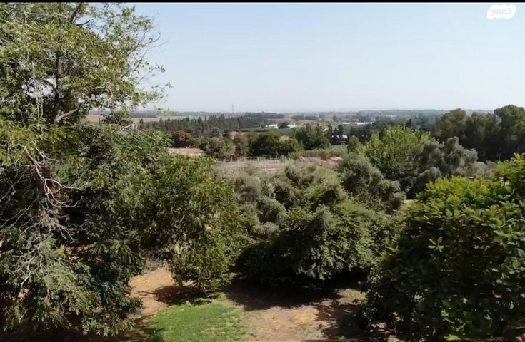 משק חקלאי/ נחלה