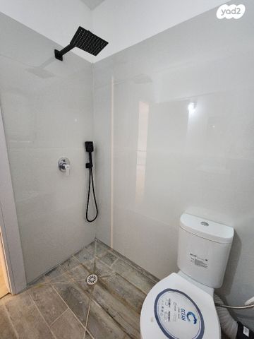 דירת גן, ליטאני, גני אביב, לוד