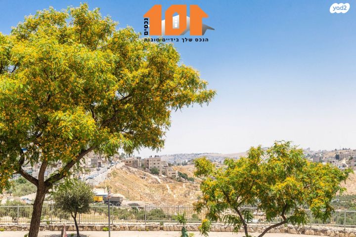 דירה, אלכסנדר רובוביץ', ארמון הנציב, תלפיות מזרח, ירושלים