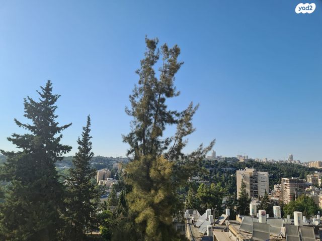 קטמון הישנה