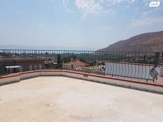 דירה, השיזף, מגדל