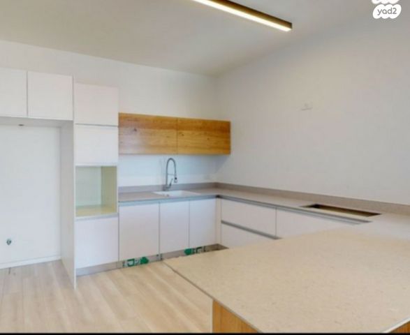 אריק איינשטיין 1