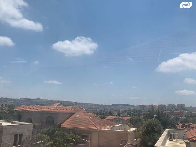 ארבעת המינים 