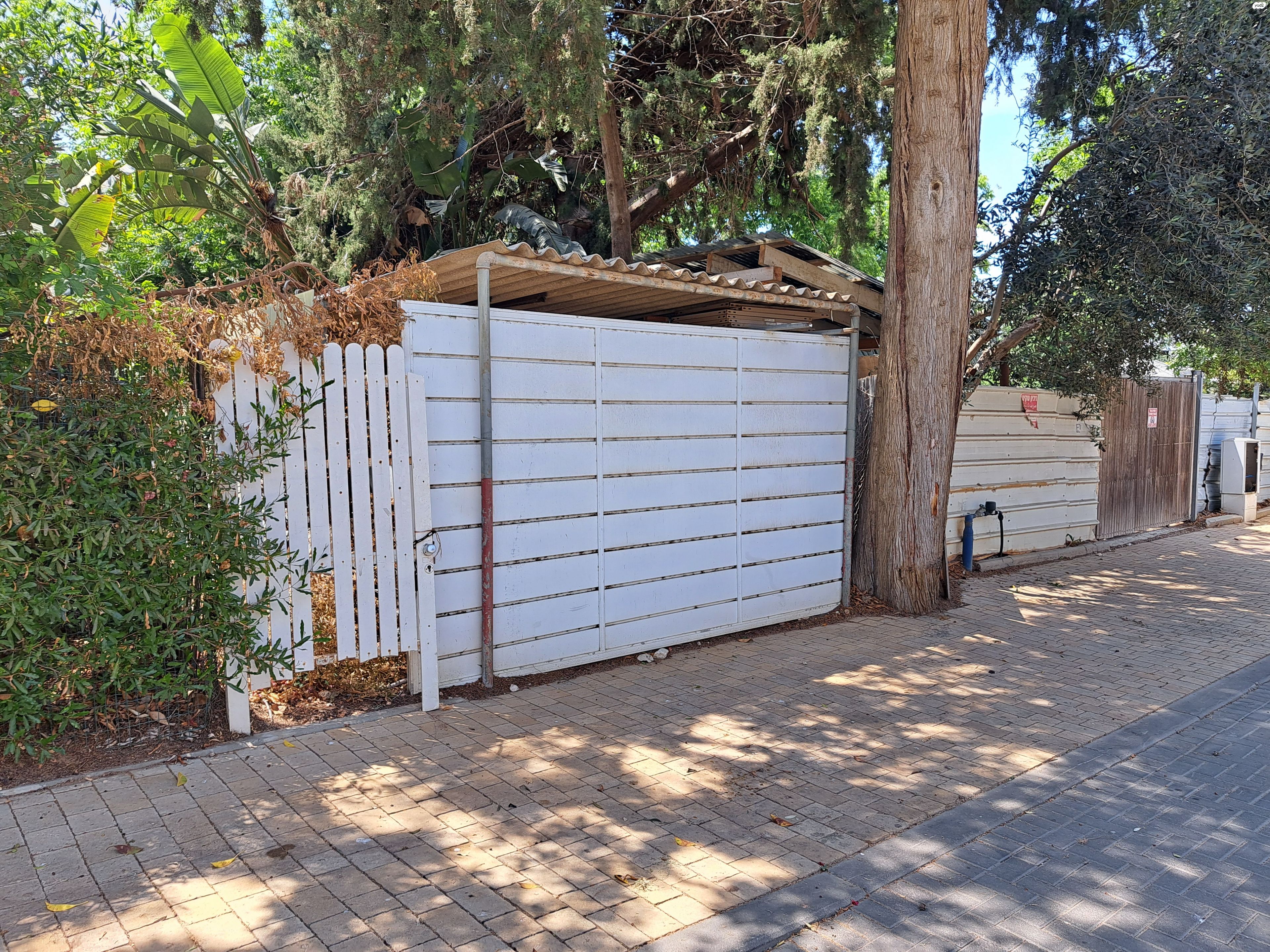 הנרקיסים 