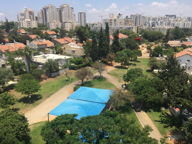 הדרור 