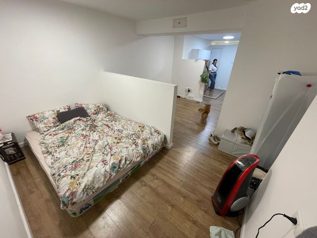 זלמן שניאור 